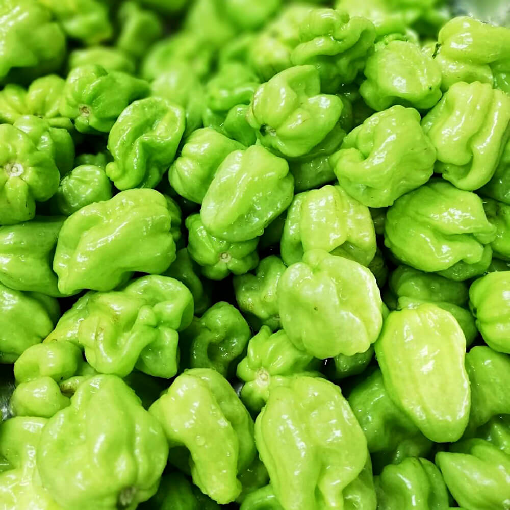 Close-up of fresh Jalapeño and Scotch Bonnet peppers used in MONOLOCO Viaje Verde Hot Sauce, showcasing their vibrant green color.